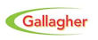 Gallagher Gallagher